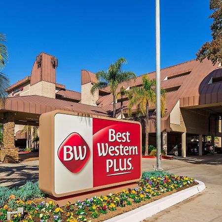 Best Western Plus Irvine Spectrum Hotel Lake Forest Exterior photo